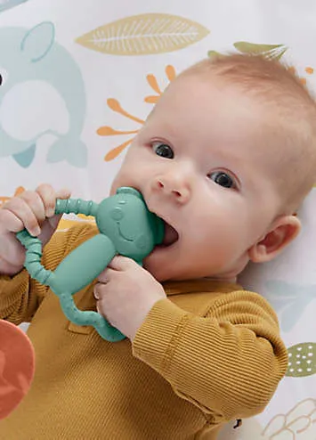 Fisher-Price Simply Senses Newborn Gym | Grattan