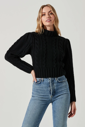 Haisley Cable Knit Turtleneck Sweater - Black