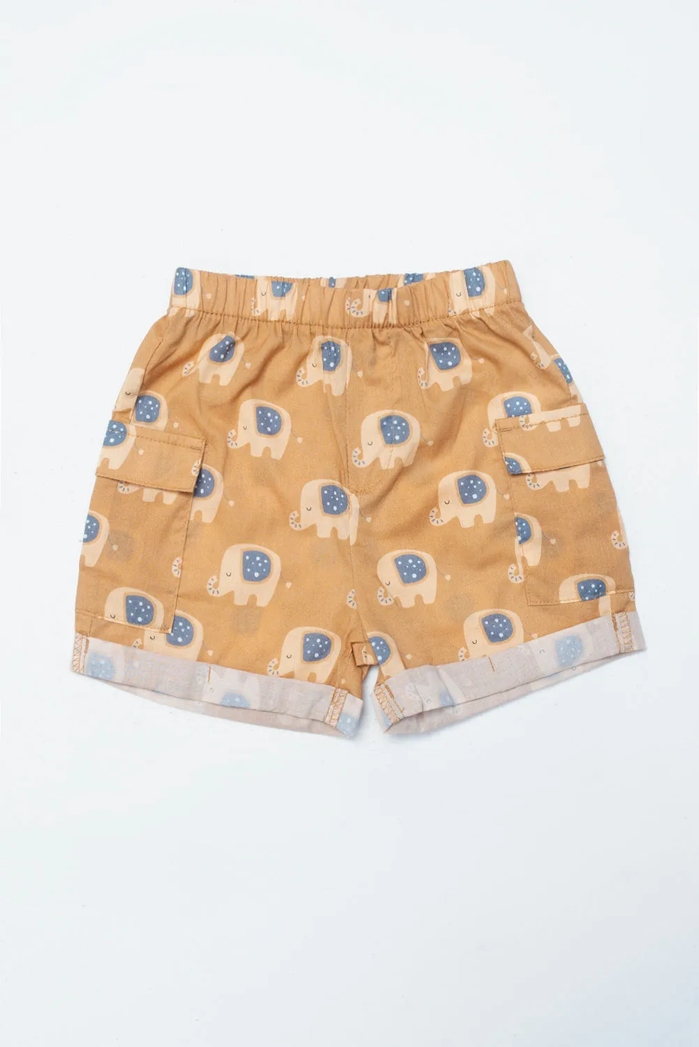 Newborn Boys Short Pant (6-18 Months)