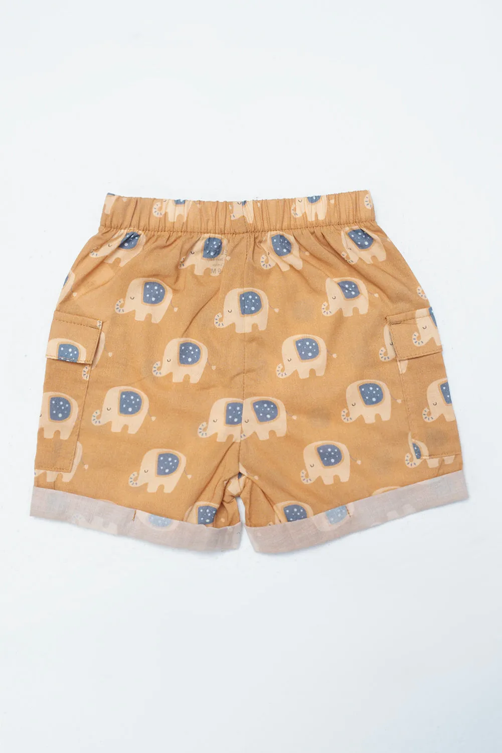 Newborn Boys Short Pant (6-18 Months)