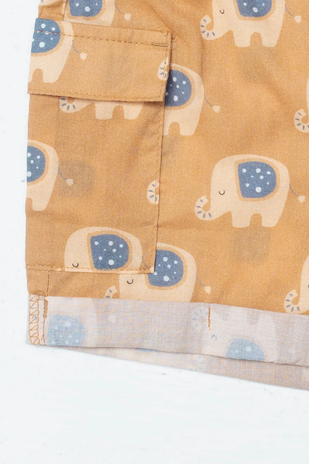 Newborn Boys Short Pant (6-18 Months)