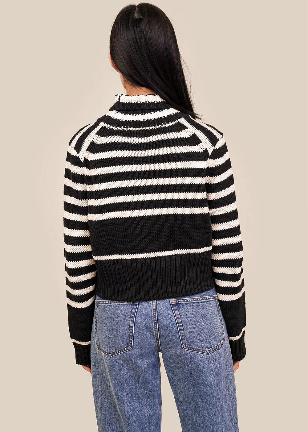 Striped Luigi Turtleneck Sweater